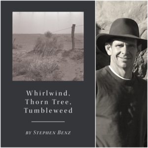 Whirlwind, Thorn Tree, Tumbleweed by Stephen Benz