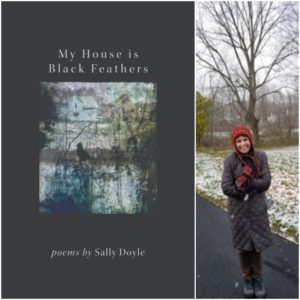 My House is Black Feathers by Sally Doyle