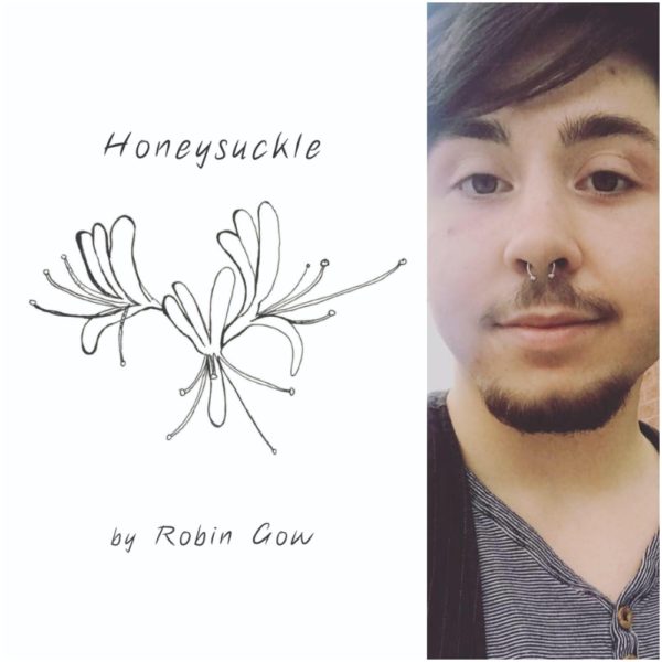 Honeysuckle by Robin Gow