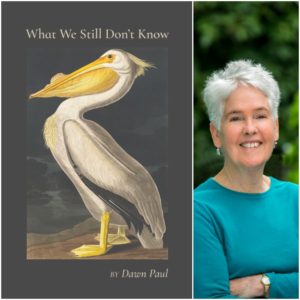 What We Still Don't Know by Dawn Paul