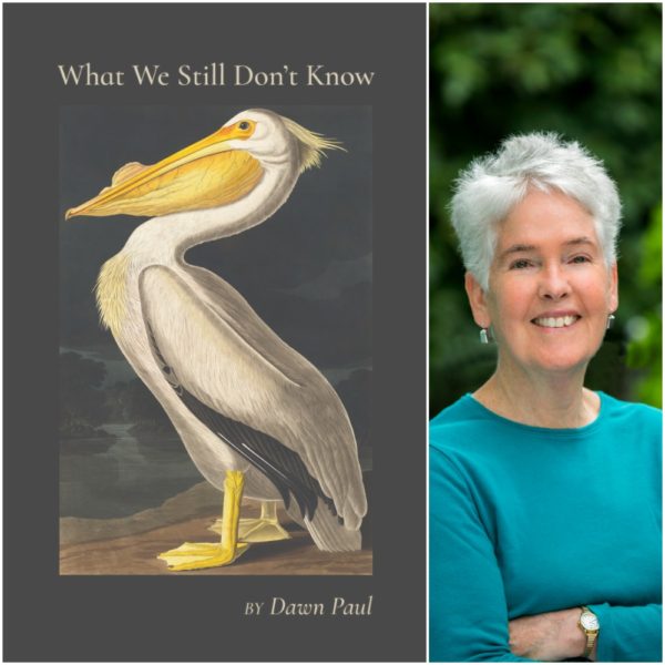 What We Still Don't Know by Dawn Paul