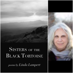 Sisters of the Black Tortoise by Linda Lampert