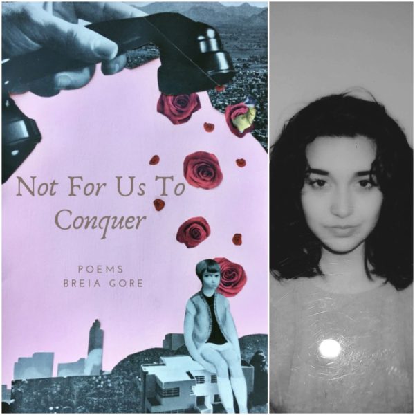 Not For Us To Conquer by Breia Gore