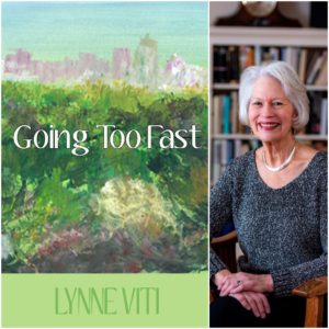 Going Too Fast by Lynne Viti