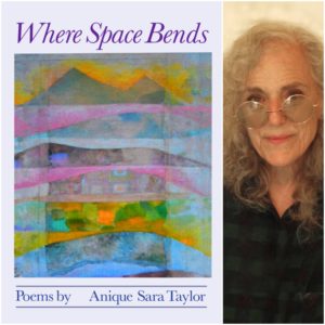 Where Space Bends by Anique Sara Taylor