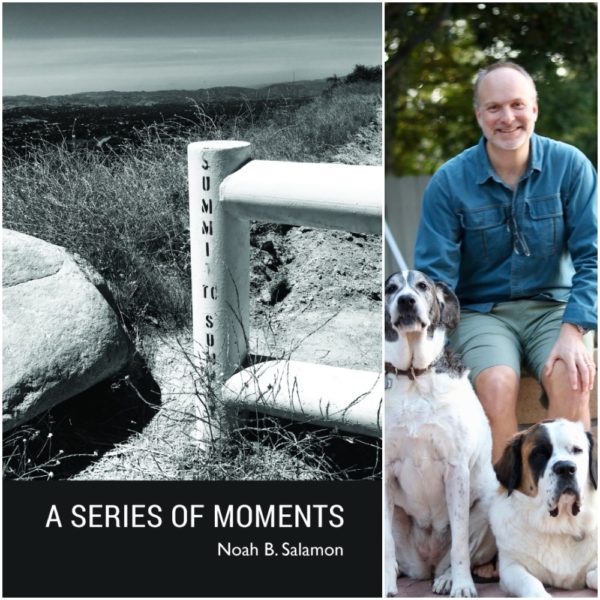 A Series of Moments by Noah B. Salamon