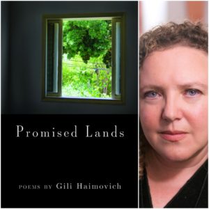 Promised Lands by Gili Haimovich