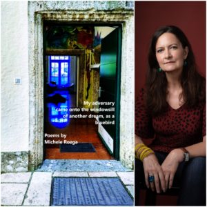 My adversary came onto the windowsill of another dream, as a bluebird by Michele Rozga