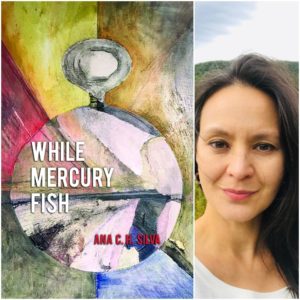 While Mercury Fish by Ana C. H. Silva