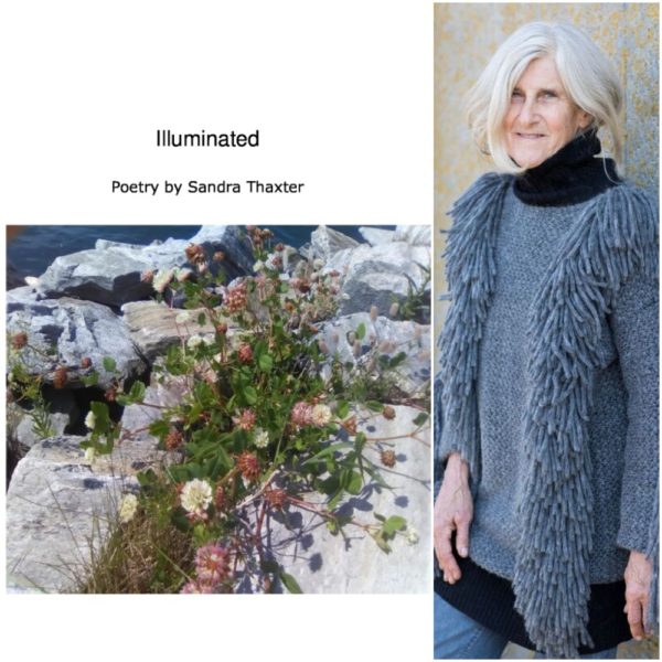 Illuminated by Sandra Thaxter