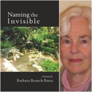 Naming the Invisible by Barbara Branch Bates