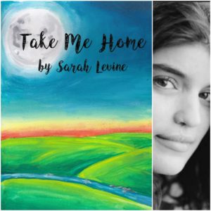 Take Me Home by Sarah Levine