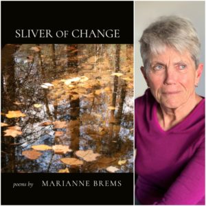 Sliver of Change by Marianne Brems
