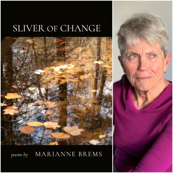 Sliver of Change by Marianne Brems