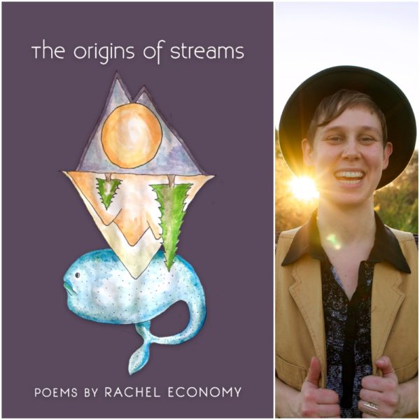 The Origins of Streams by Rachel Economy