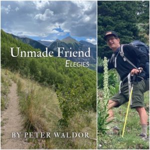 Unmade Friend - Elegies by Peter Waldor