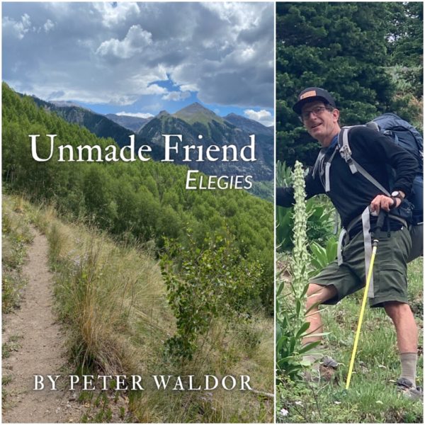 Unmade Friend - Elegies by Peter Waldor