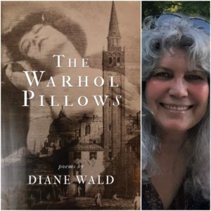 The Warhol Pillows by Diane Wald