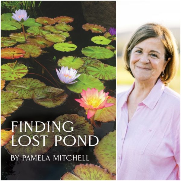 Finding Lost Pond by Pamela Mitchell