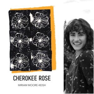 Cherokee Rose by Miriam Moore-Keish