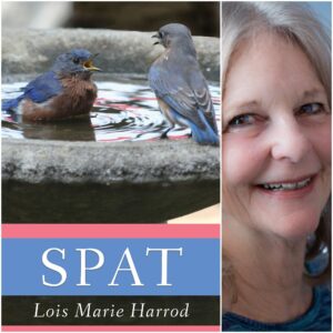 Spat by Lois Marie Harrod