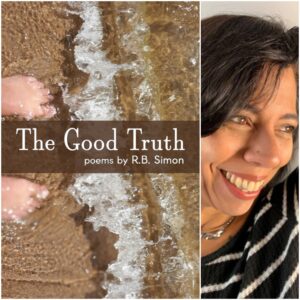 The Good Truth by R.B. Simon