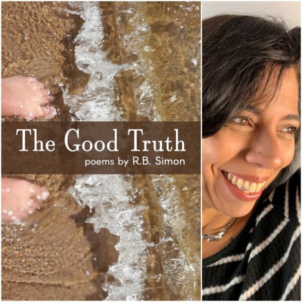 The Good Truth by R.B. Simon