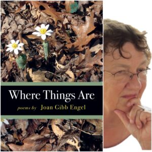 Where Things Are by Joan Gibb Engel