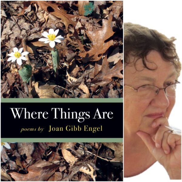 Where Things Are by Joan Gibb Engel