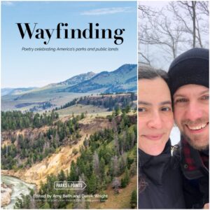 Wayfinding edited by Amy Beth Wright and Derek Wright