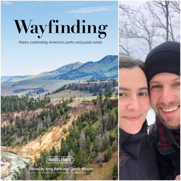 Wayfinding edited by Amy Beth Wright and Derek Wright