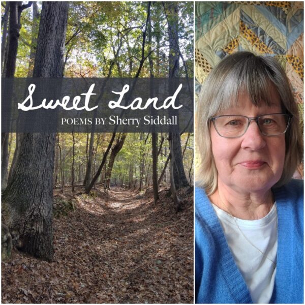 Sweet Land by Sherry Siddall