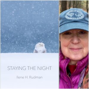 Staying The Night by Ilene H. Rudman