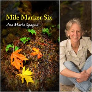Mile Marker Six by Ana Maria Spagna