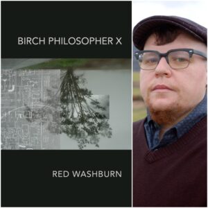 Birch Philosopher X by Red Washburn