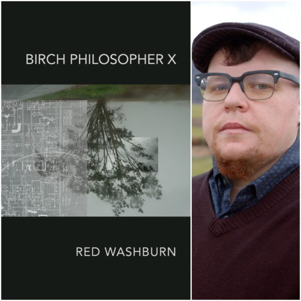 Birch Philosopher X by Red Washburn