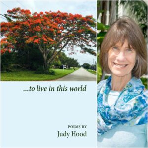 ...to live in this world by Judy Hood