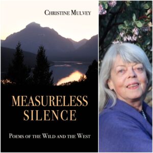 MEASURELESS SILENCE by CHRISTINE MULVEY