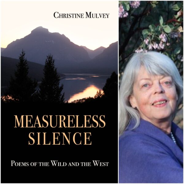 MEASURELESS SILENCE by CHRISTINE MULVEY