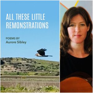 All These Little Remonstrations by Aurore Sibley
