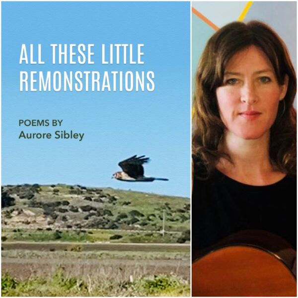 All These Little Remonstrations by Aurore Sibley