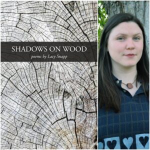 Shadows on Wood by Lacy Snapp
