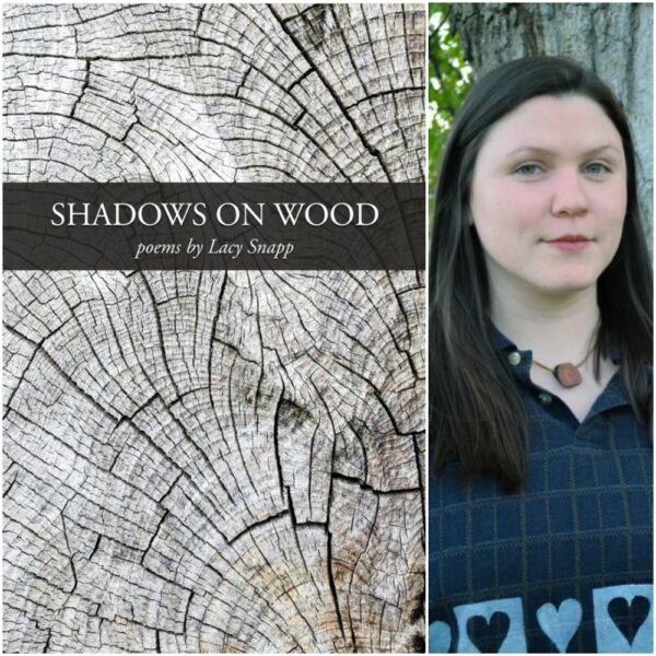 Shadows on Wood by Lacy Snapp