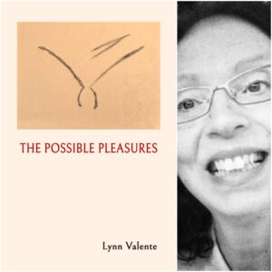 THE POSSIBLE PLEASURES by Lynn Valente