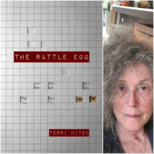 The Rattle Egg by Terri Witek