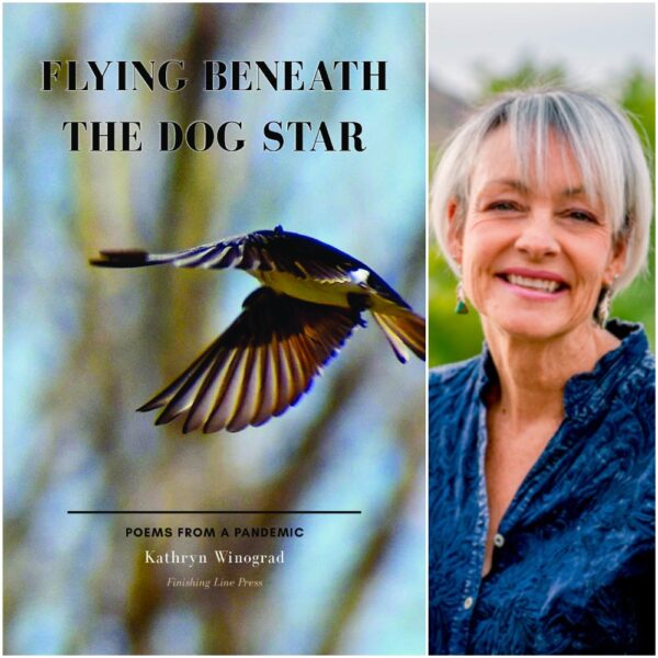 Flying Beneath the Dog Star: Poems from a Pandemic by Kathryn Winograd