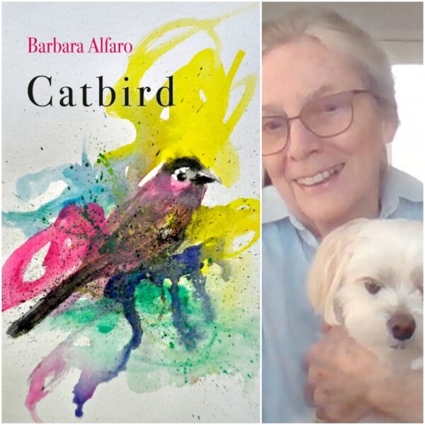 Catbird by Barbara Alfaro