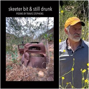 skeeter bit & still drunk by Travis Stephens