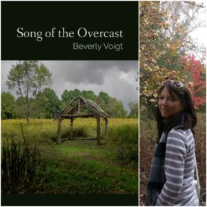 Song of the Overcast by Beverly Voigt