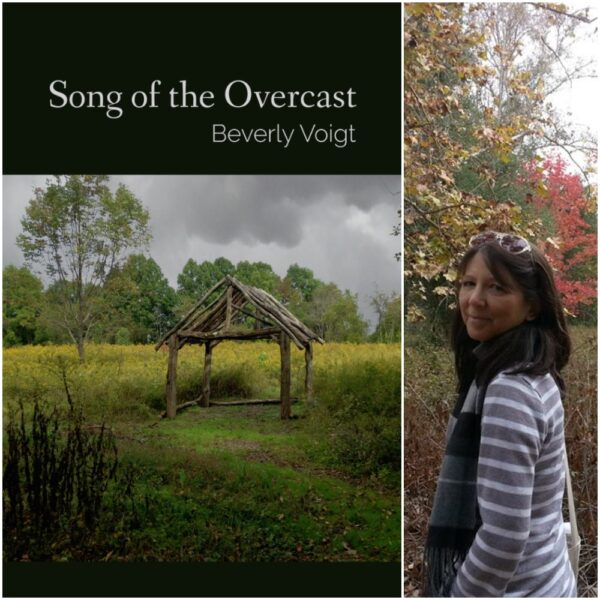 Song of the Overcast by Beverly Voigt